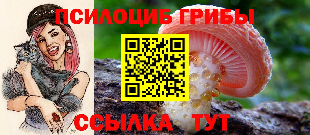 МЕТАМФЕТАМИН  Вход с VPN  Меф МЯУ МЯУ кристаллы  Бошки Шишки  Кокаин  ГАШ  ЭКСТАЗИ  Тихвин  Гашиш 